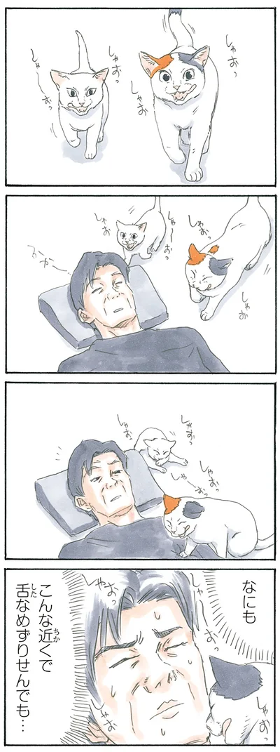 舌なめずり
