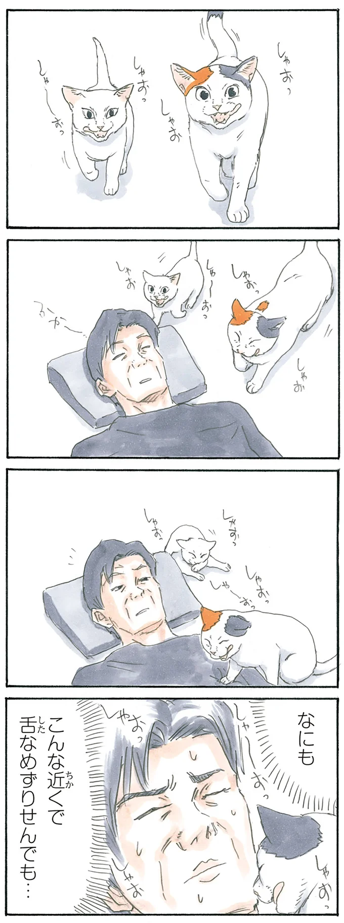 舌なめずり