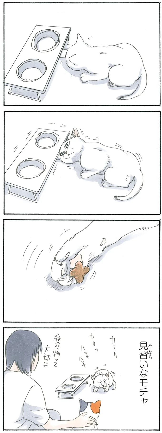 食べ物