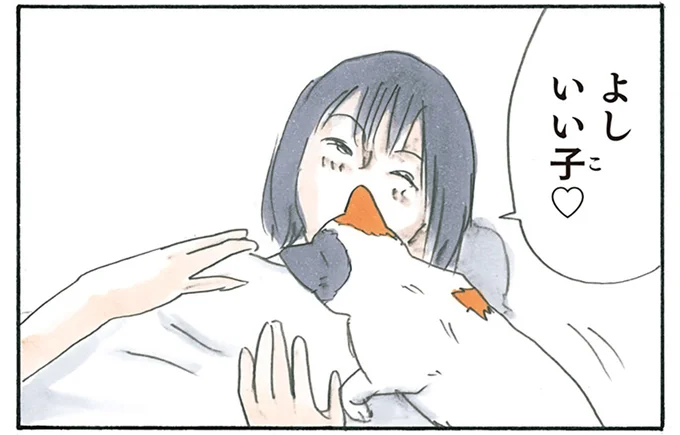 猫に呼びかけると
