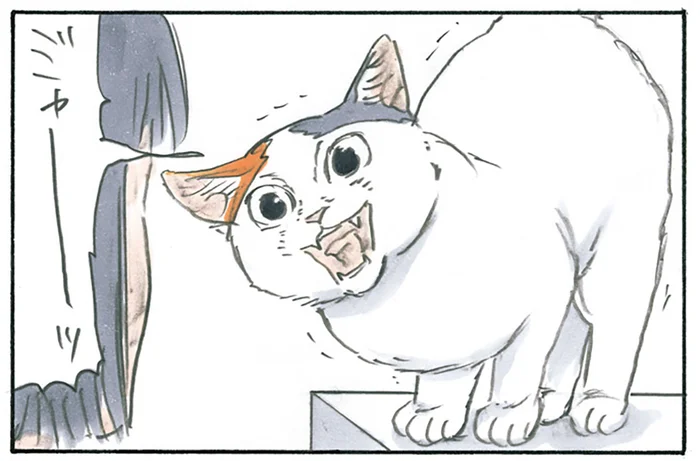 外に出られない！ 可愛すぎる仕草で飼い主を足止めする猫／拾い猫のモチャ3（7）