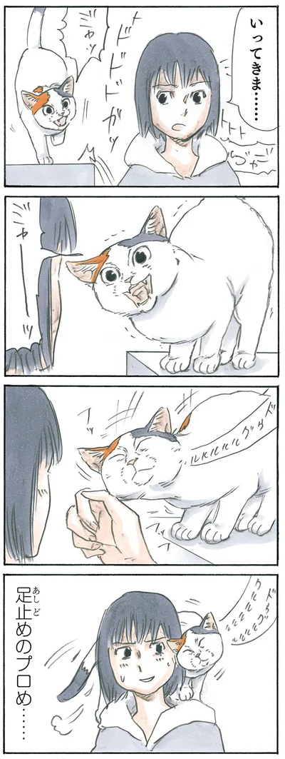 足止め