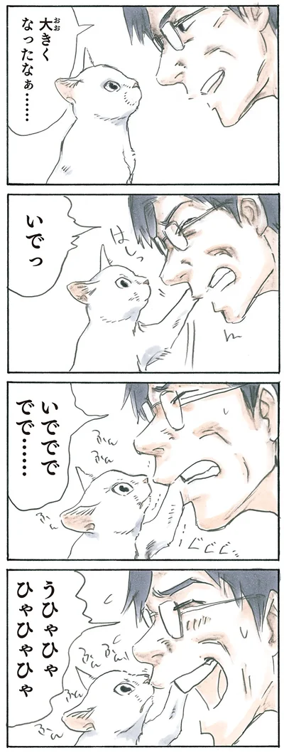 大胆ミルク