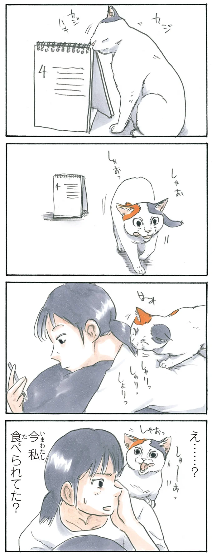 カジカジ