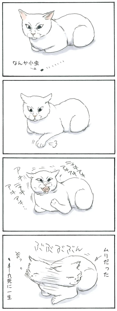 小虫の災難