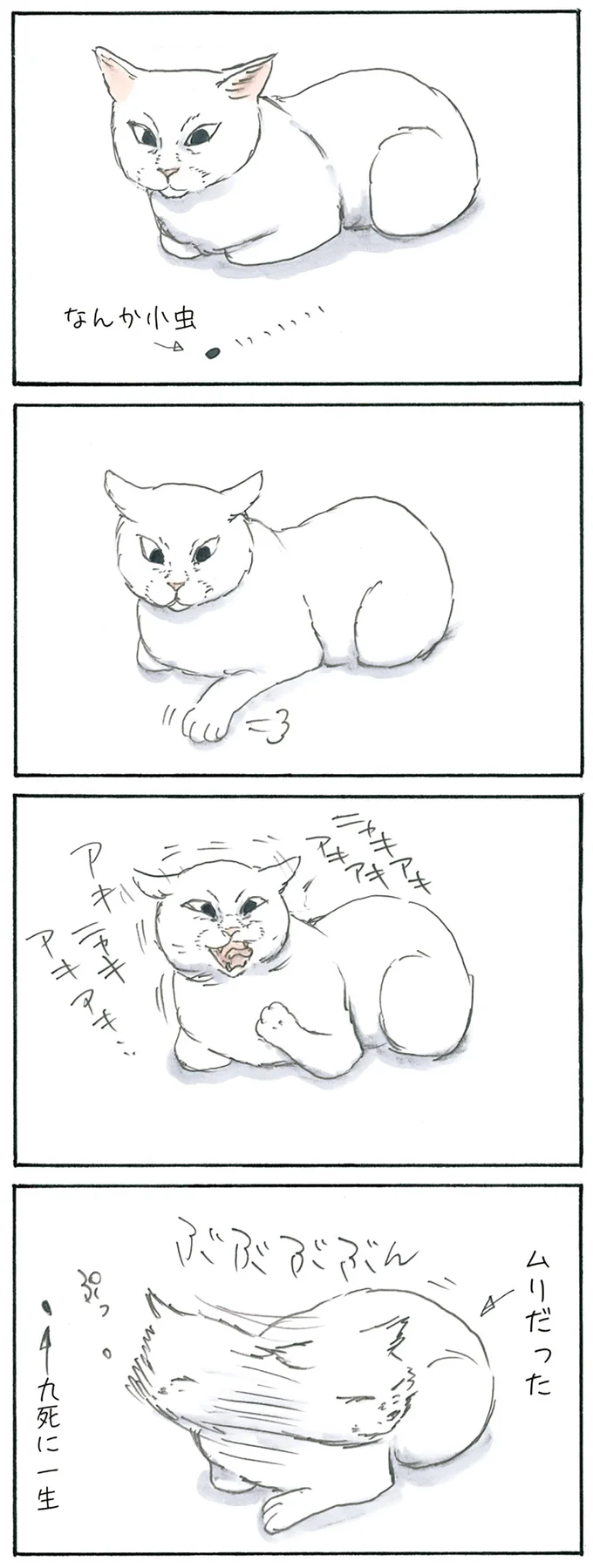 小虫の災難
