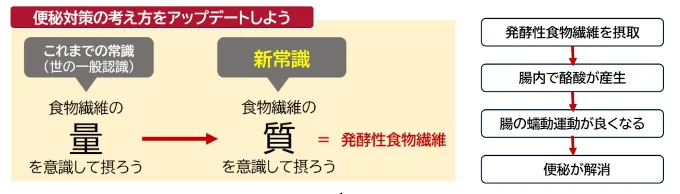 食物繊維は“量ではなく質”が重要
