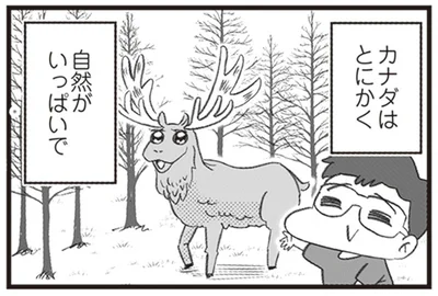 とにかく自然がいっぱいで
