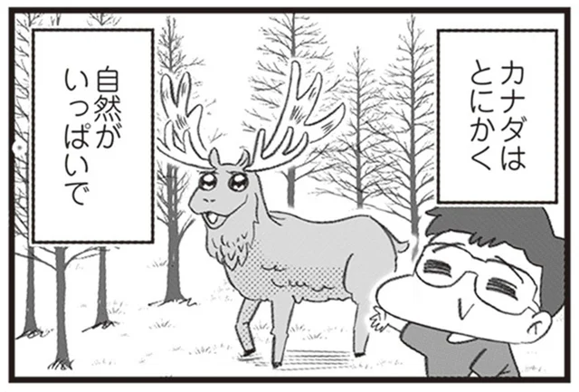 カナダってどんな国？ 移住した一家が教える唯一無二!?の魅力