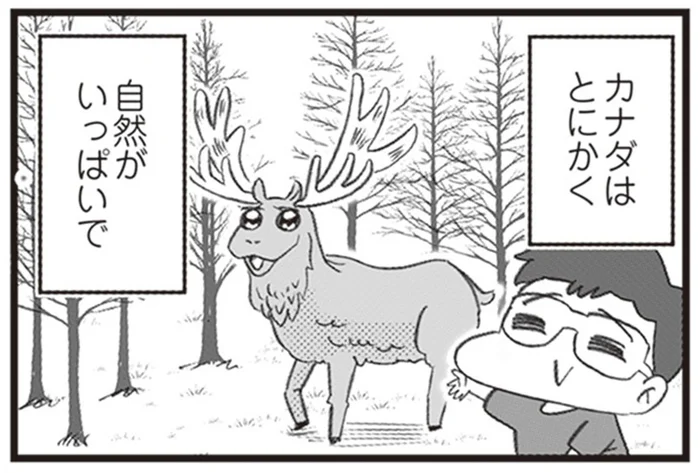 カナダってどんな国？ 移住した一家が教える唯一無二!?の魅力