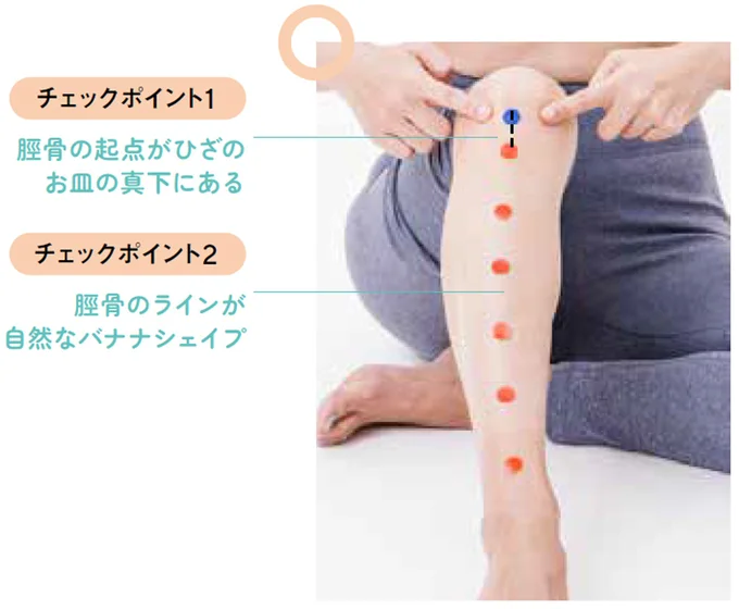 脛骨の起点がひざのお皿の真下にある