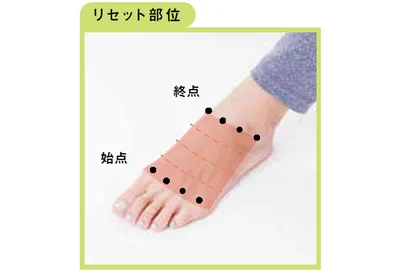 リセット部位
