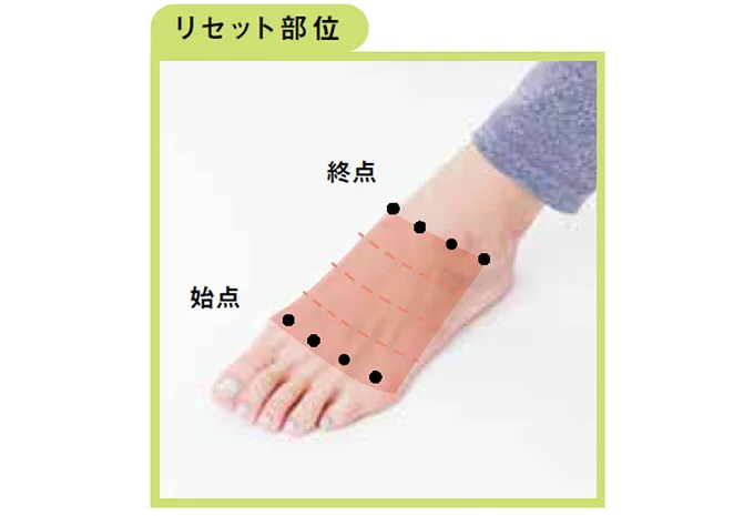 リセット部位
