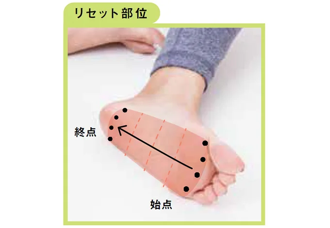 リセット部位