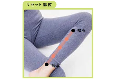 リセット部位