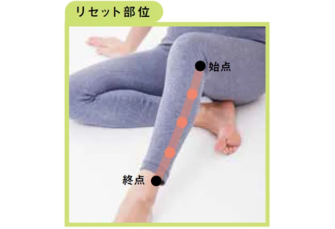 リセット部位