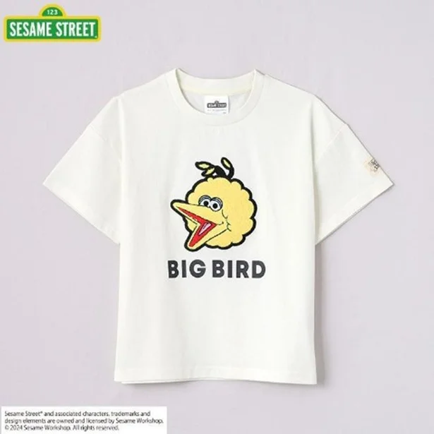 「半袖Tシャツ」(1309円)