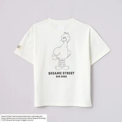 「半袖Tシャツ」バックスタイル