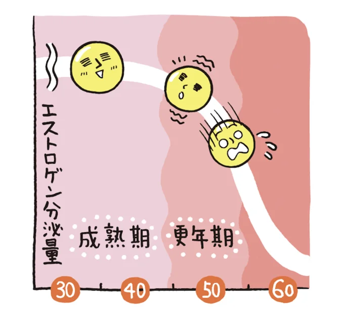 閉経による女性ホルモンの減少にともなって、骨のカルシウム量も減少