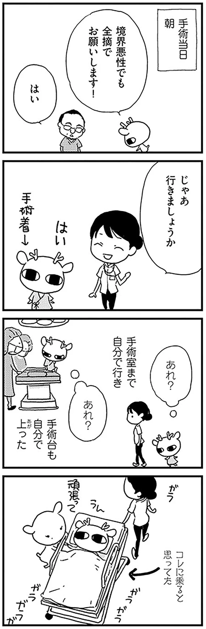 境界悪性でも全摘でお願いします！