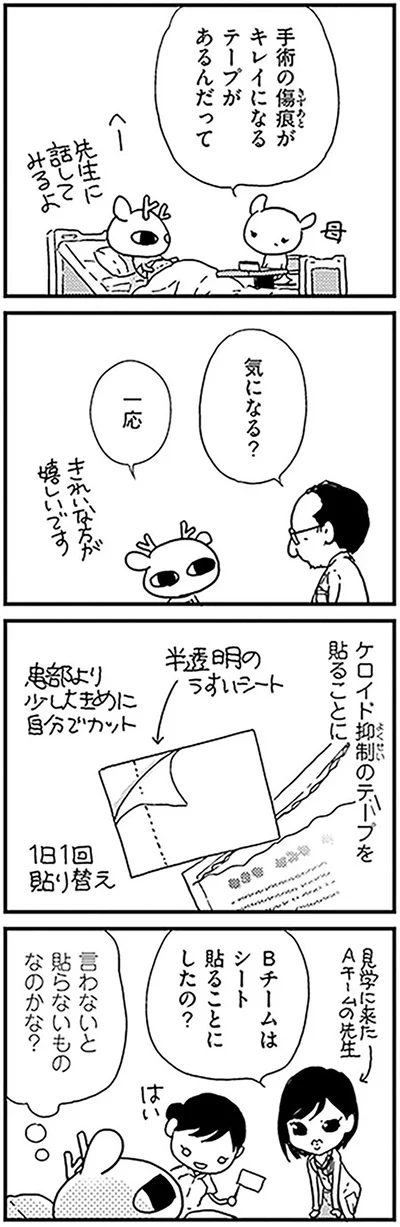 言わないと貼らないものなのかな？