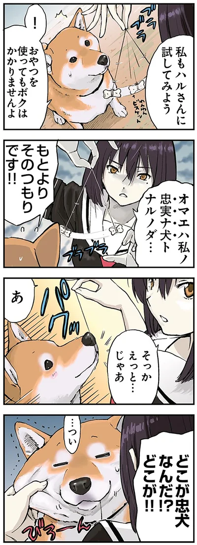 どこが忠犬なんだ！？