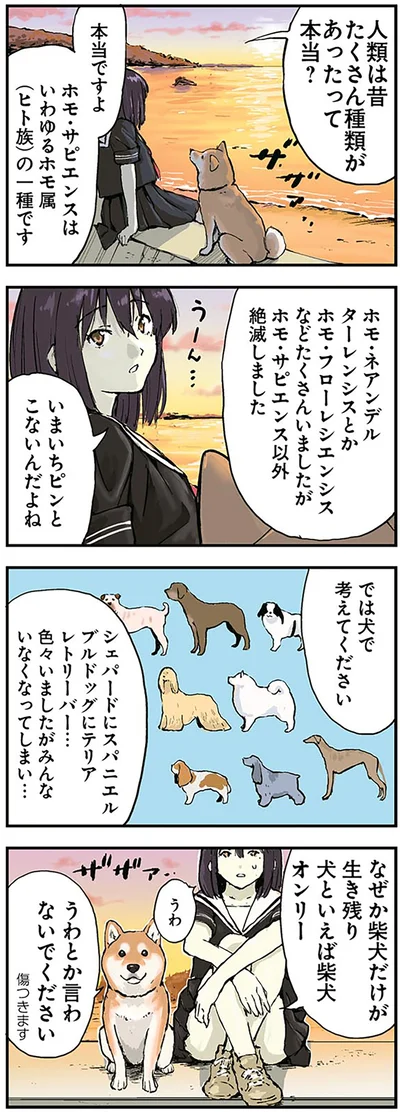 では犬で考えてください