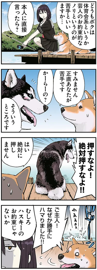 「世界の終わりに柴犬と2」より