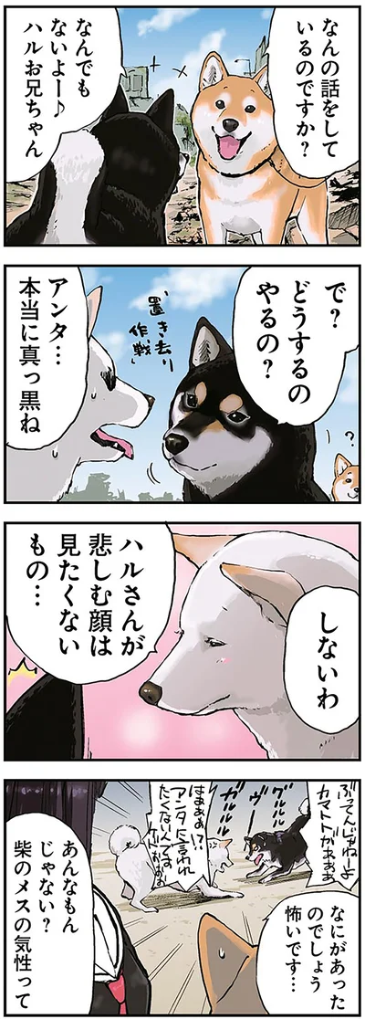 「世界の終わりに柴犬と2」より