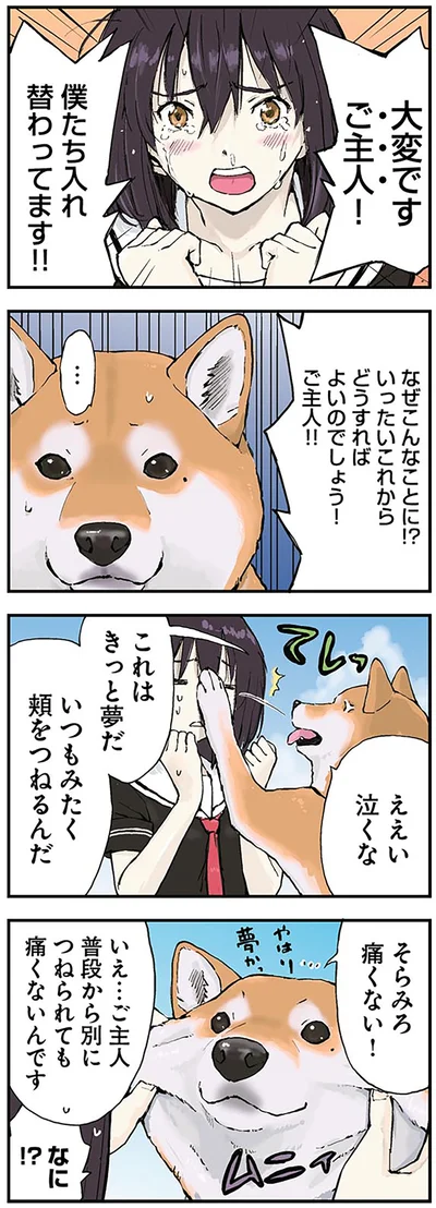 「世界の終わりに柴犬と2」より