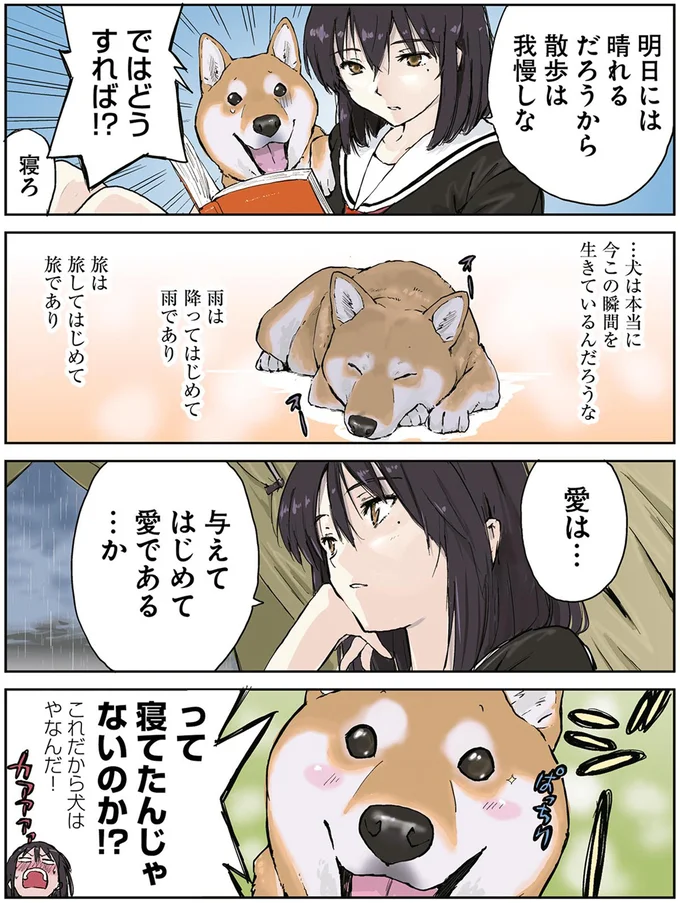 「世界の終わりに柴犬と2」より