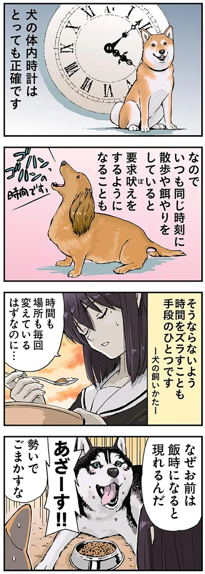 あざーす！！