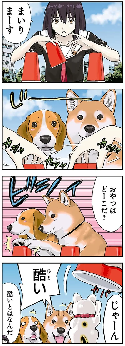 まいりまーす