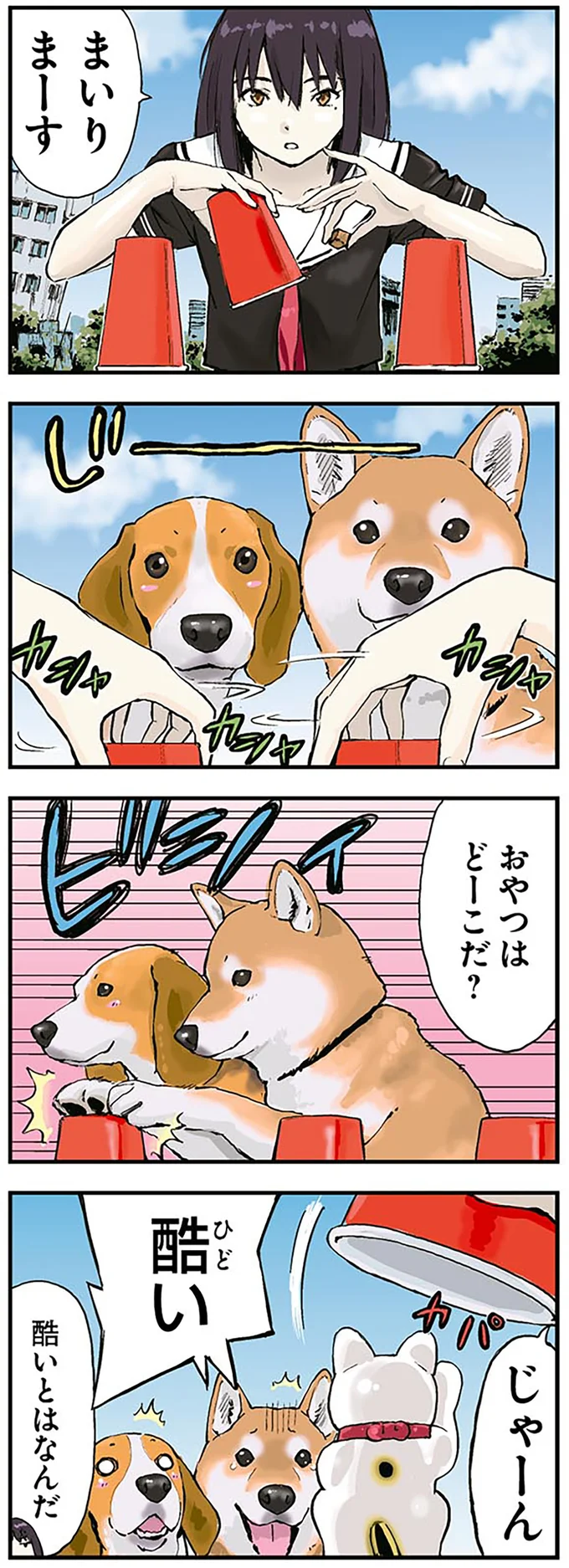 まいりまーす