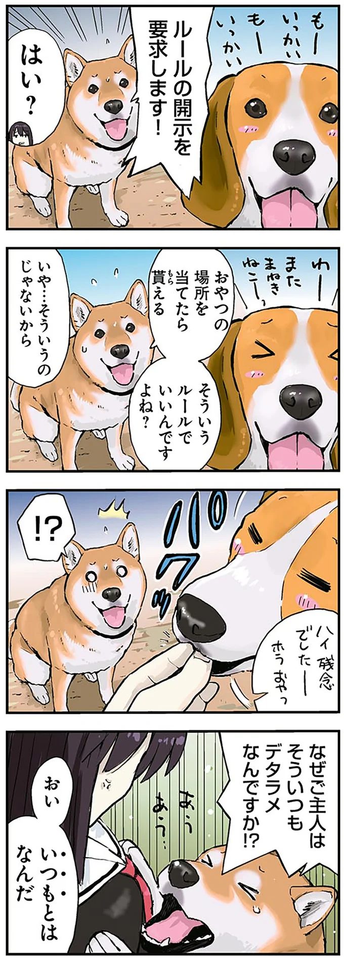 ルールの開示を要求します！