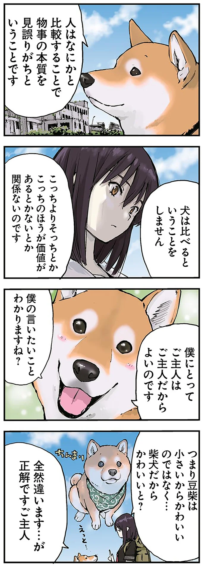 犬は比べるということをしません