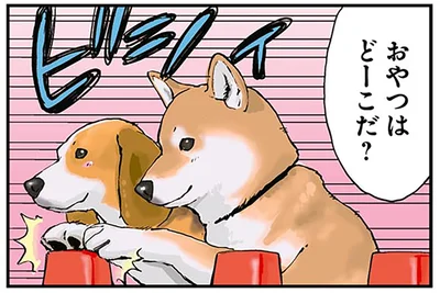おやつはどーこだ？