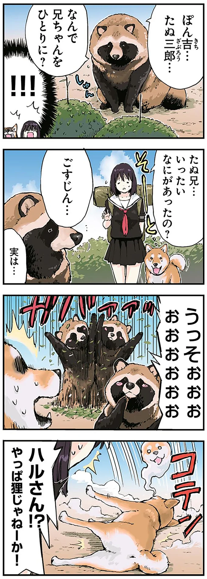 やっぱ狸じゃねーか！
