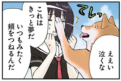 これはきっと夢だ