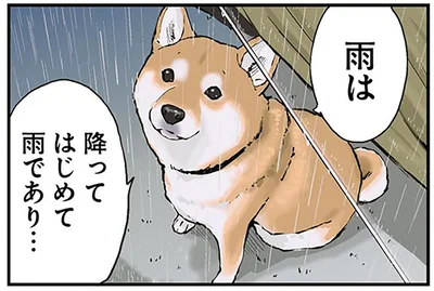 雨は降ってはじめて雨であり…