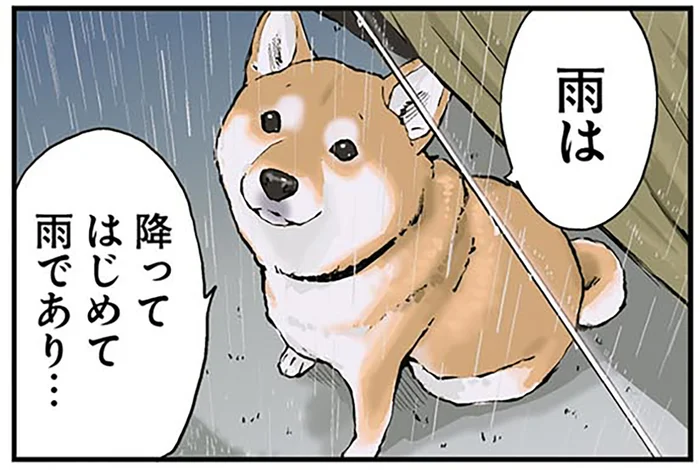 「雨は降ってはじめて雨」哲学的柴犬が考えたおやつの定義とは／世界の終わりに柴犬と2（8）