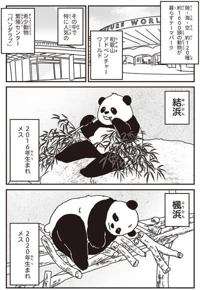 和歌山アドベンチャーワールド