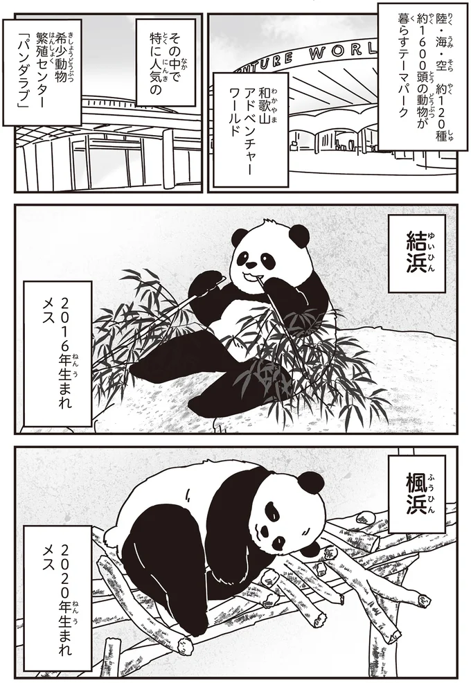 和歌山アドベンチャーワールド