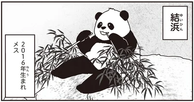 結浜