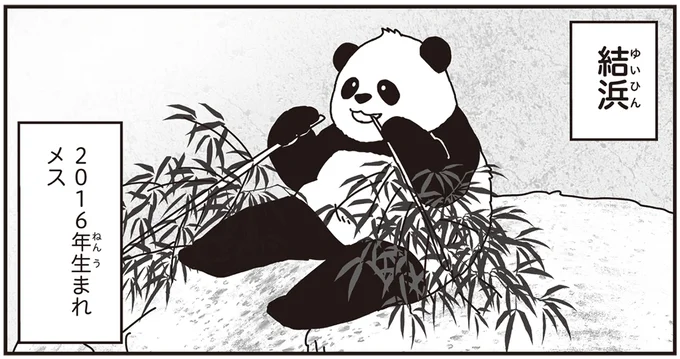 結浜