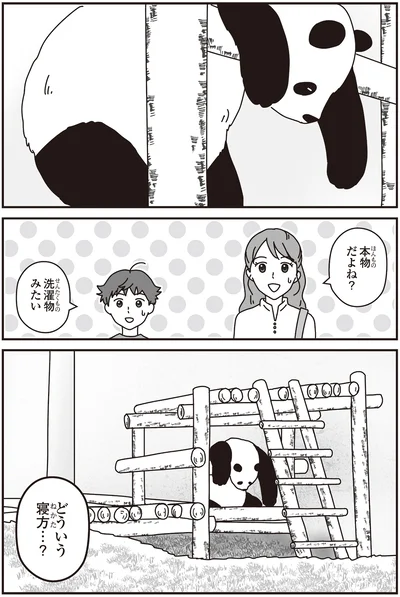 「パンダのミライ ―浜家・良浜 いのちの物語―」より