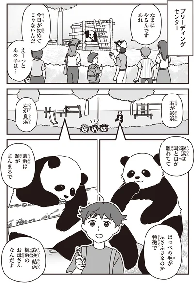 「パンダのミライ ―浜家・良浜 いのちの物語―」より