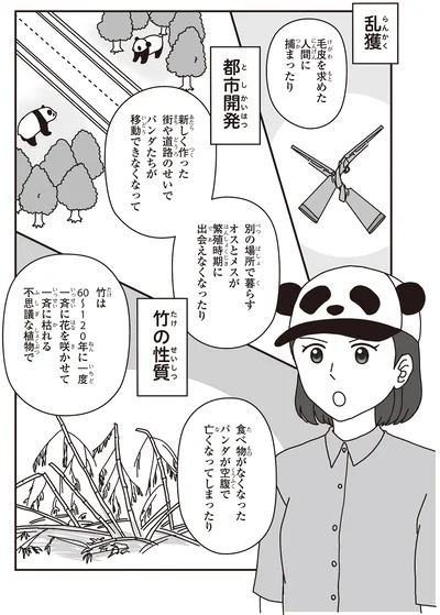 「パンダのミライ ―浜家・良浜 いのちの物語―」より