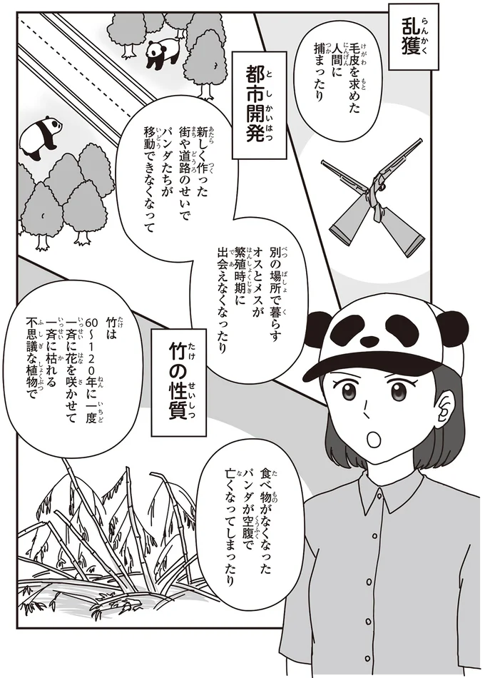 「パンダのミライ ―浜家・良浜 いのちの物語―」より