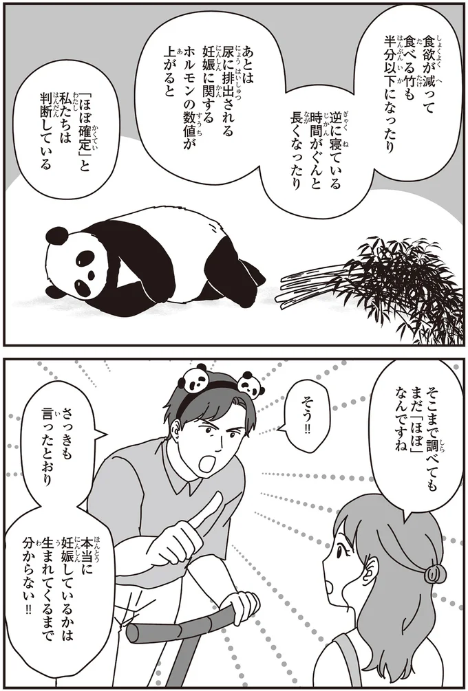 「パンダのミライ ―浜家・良浜 いのちの物語―」より